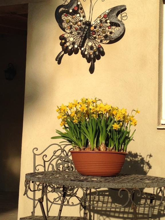 Bed & Breakfast L'Orangerie Carcassonne Ngoại thất bức ảnh